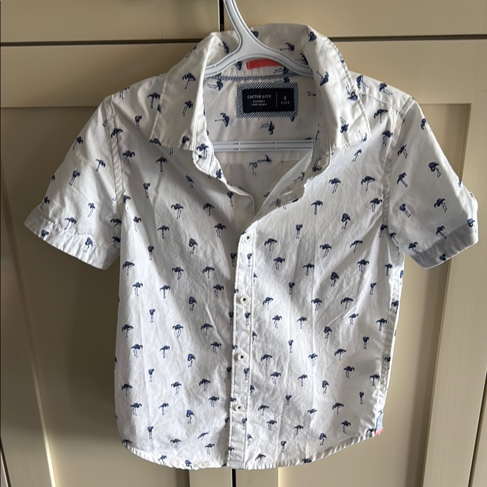 Button down Shirt